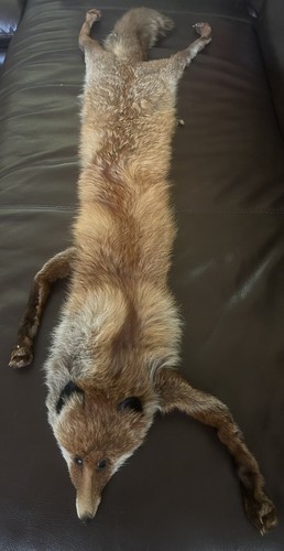 Rotfuchs schal stola - schal,