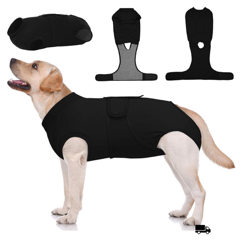 Hundebody nach op body - op, l