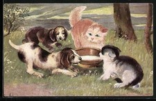 Zwei Junge und zwei Katzen streiten sich an einem Wassertrog, Ansichtskarte 