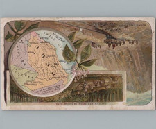 1889 Arbuckle Kaffee