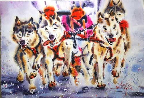 Original aquarell husky hunde - original,