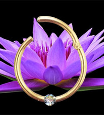 I Ohrring Piercing Clicker 10 mm I Echter Diamant I Echt 585 Gelbgold I 46012-10