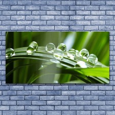 Acrylglasbilder Wandbilder