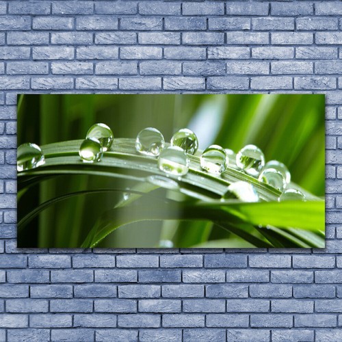 Acrylglasbilder wandbilder - acrylglasbilder,