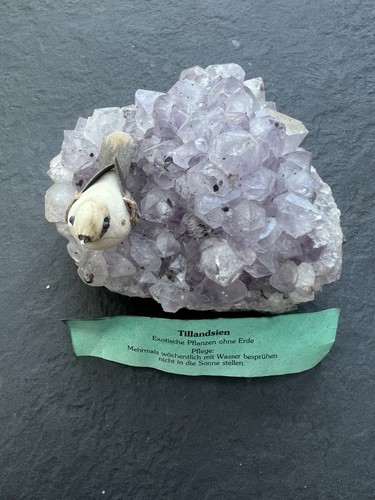 Amethyst druse 860 - druse, g