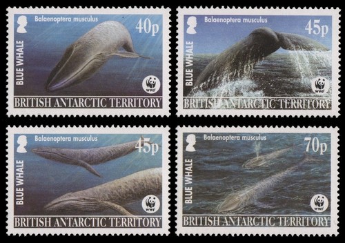 Bat brit antarktis 2003 - bat,