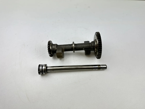 Motorschwinge yamaha tdm - motorschwinge,