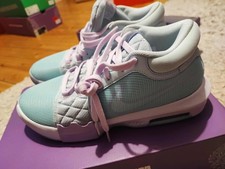 Neu Nike Lebron James 8