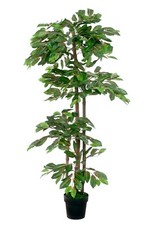 künstlicher tropischer