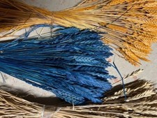  Dekozweige 6 Bund Getreide Weizen Granetto je 2 Natur , 2 gelb, 2 blau 