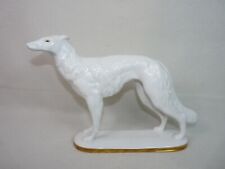 Russischer Windhund Hund Zeh