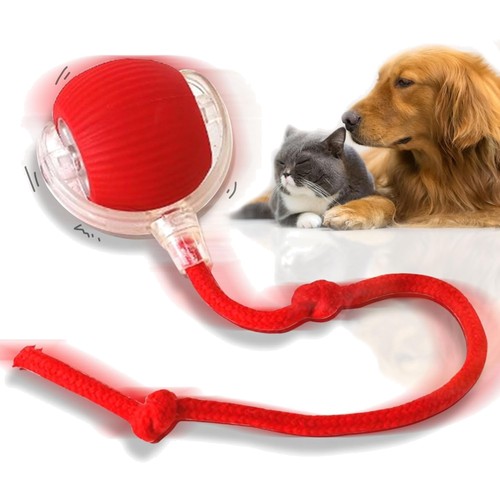 Hundespielzeug ball spielzeug - ball,