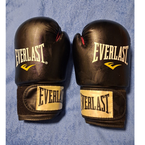 Everlast boxhandschuhe 8 - everlast, ta:8