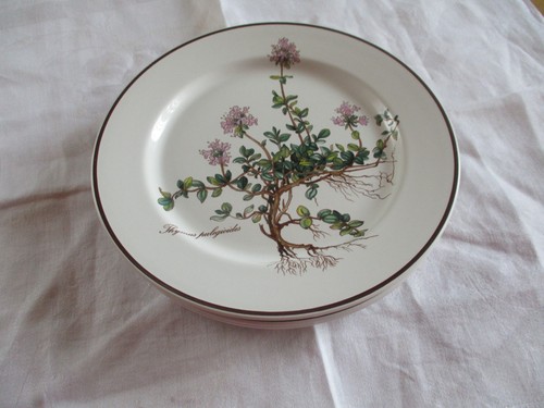 Villeroy boch botanica 5 x - villeroy,