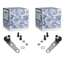 2X ACKOJA TRAGGELENK