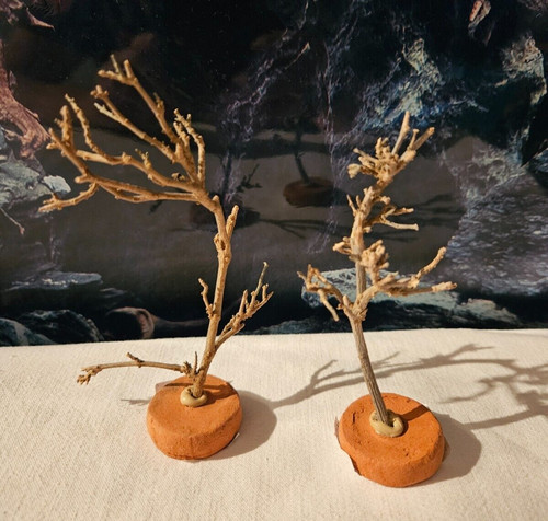 Nano garnelen dekobaum ca - 2x,