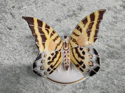 Schmetterling rosenthal - schmetterling,