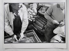 Nick Ysenburg Cuba Men Bird