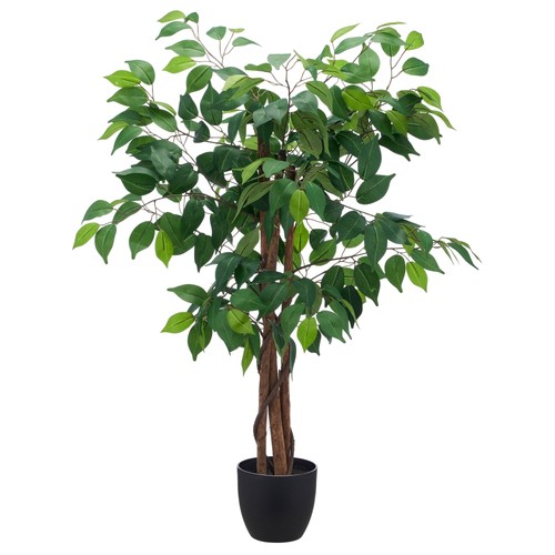 Kunstpflanze ficus benjamina - kunstpflanze,