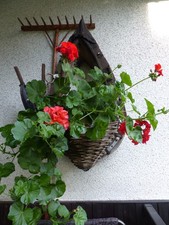 Dekoration Vintage Pferdekummet