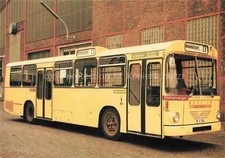 Bus Autobus Omnibus Berliner