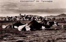 Ak Maghreb, Nomaden, Zeltlager, Hunde - 4465627
