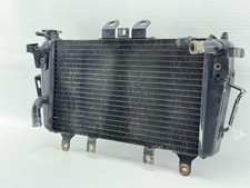 Triumph Tiger 1050 Kühler