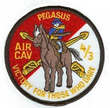 US Army 4/3 PEGASUS AIR
