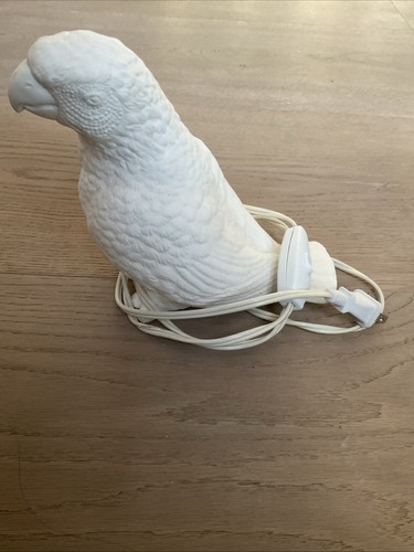 Papagei lampe licht - papagei, nacht