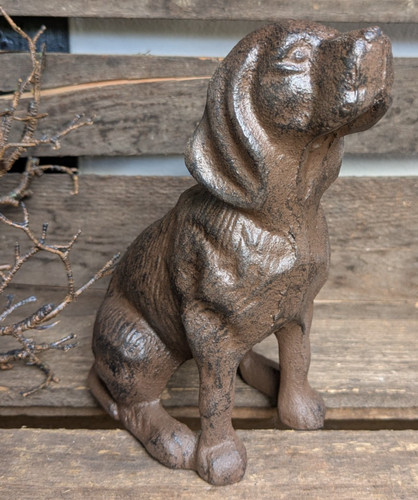Schöner großer hund - ❤️,