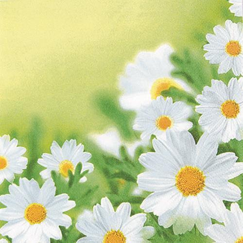 Servietten white daisies - servietten,