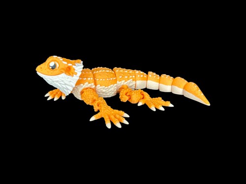Bewegliche bartagame - bartagame, –