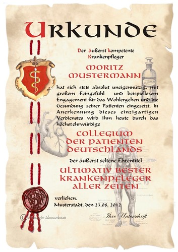 Urkunde krankenpfleger din - urkunde,