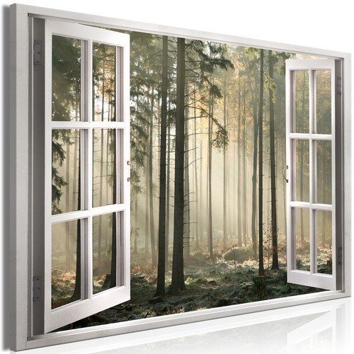 Natur holz wald fensterblick - natur,