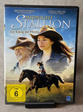 Midnight Stallion - Der König
