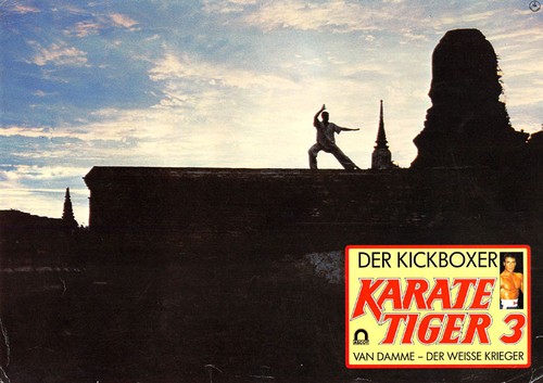 Karate tiger der - -, kickboxer