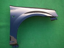 KOTFLÜGEL LACKIERT IN