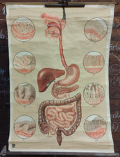 DDR Rollkarte Schulkarte