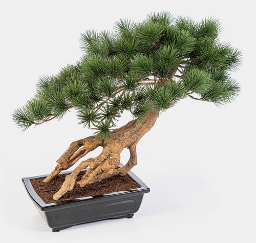 Artplants künstlicher bonsai - artplants,