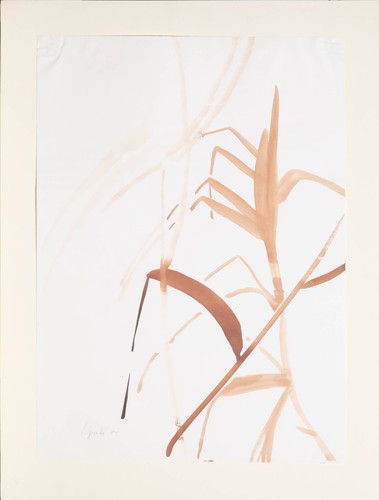 Aquarell von siegward - siegward, sprotte