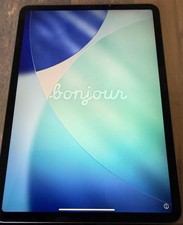 Apple iPad Pro 1.Gen.  64GB  Mod. A1980  Defekt Displayschaden