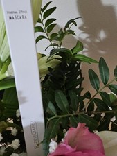 ✨ LR Deluxe Mascara -