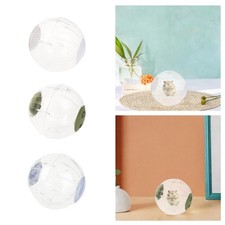 Hamsterball transparent