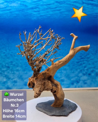 Aquarium wurzel bonsai - wurzel,