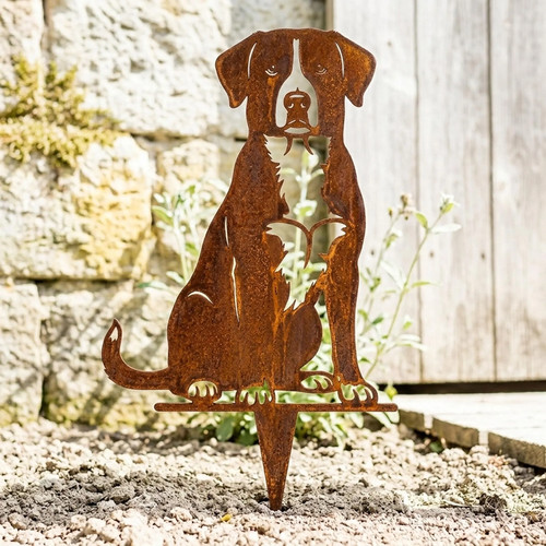 Edelrost sennenhund - edelrost,