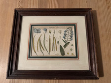 Bild  "Tableau Encyclopedique Et Methodique" des Trois Regnes de la Nature