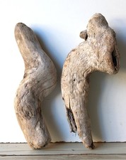 Treibholz Schwemmholz