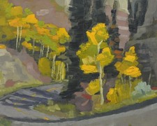 "Canyon Color" Original 8x10