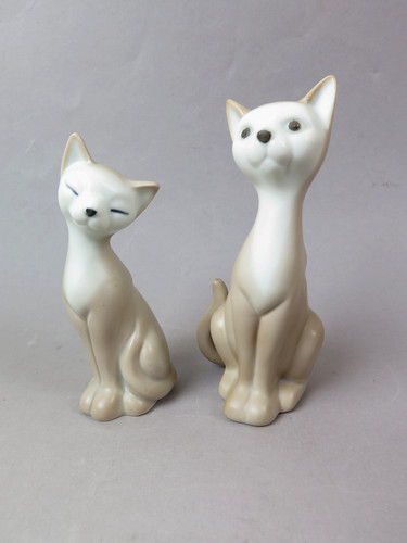 Royal katzen - x, katzen/