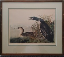 John J. Audubon/Vintage